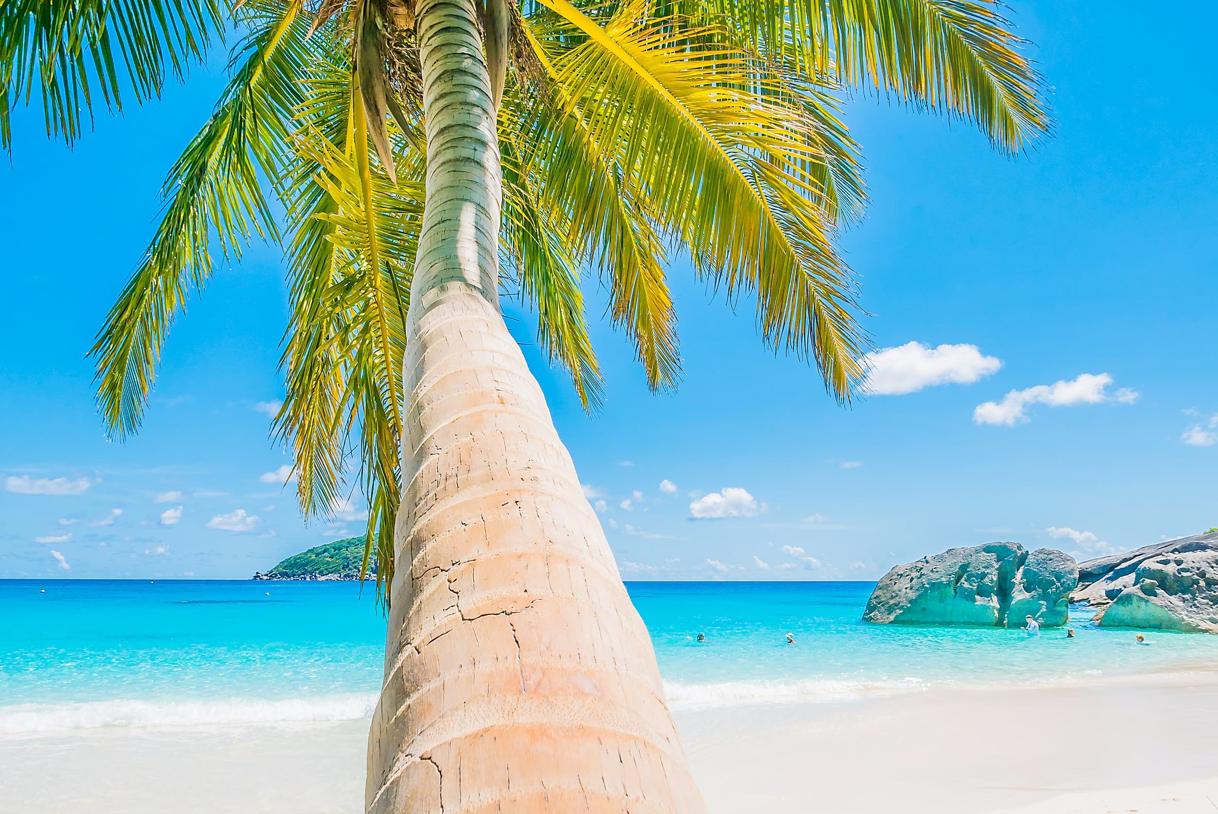 ハワイの風景 1